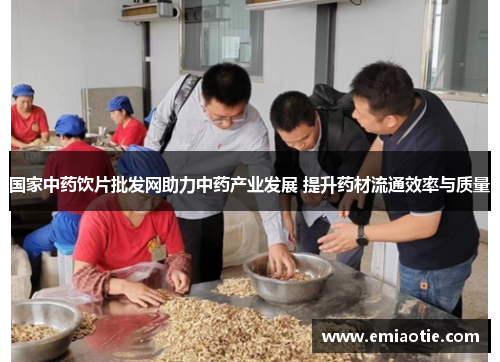 国家中药饮片批发网助力中药产业发展 提升药材流通效率与质量