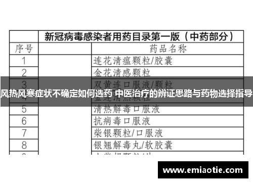 风热风寒症状不确定如何选药 中医治疗的辨证思路与药物选择指导